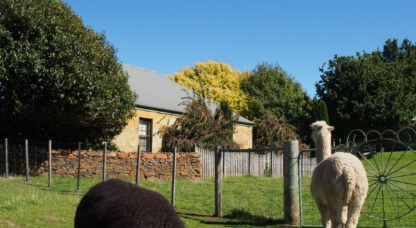Blackwood Park Cottages image 15